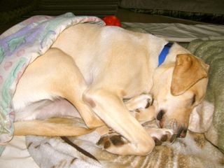 Butters Hugging His Toes On Holiday